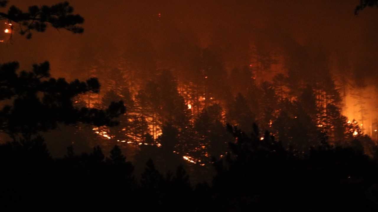Antalya’da Orman Yangını Fırtınası Alanya Ve Gazipaşa Sabaha Kadar Yandı 6