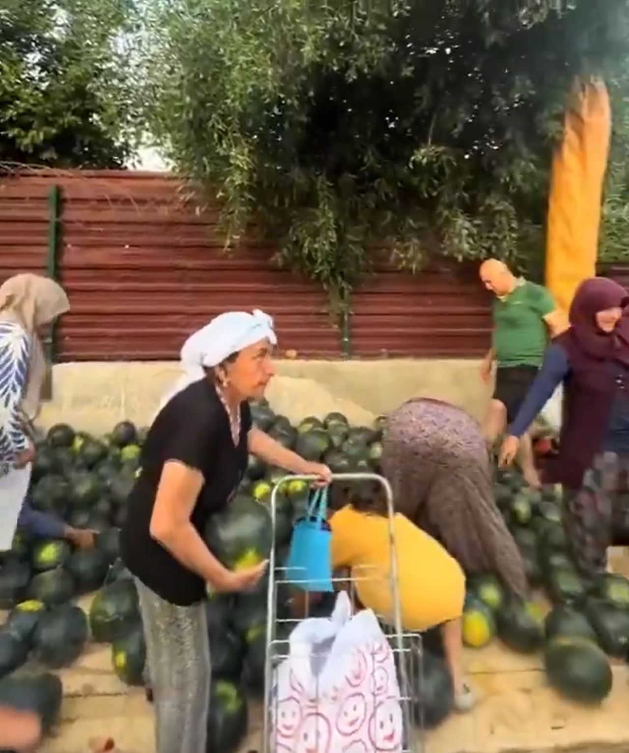 Antalya’da Pazarcı Atatürk İçin Bedava Karpuz Dağıttı 