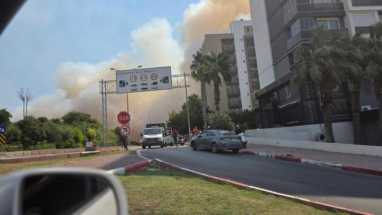 Antalya'daki Orman Yangınlarına Çarpıcı İddia! Mimar Engiz 'Arazi Mafyası İş Peşinde' 3