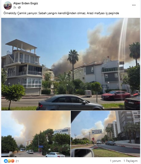 Antalya'daki Orman Yangınlarına Çarpıcı İddia! Mimar Engiz 'Arazi Mafyası İş Peşinde' 4