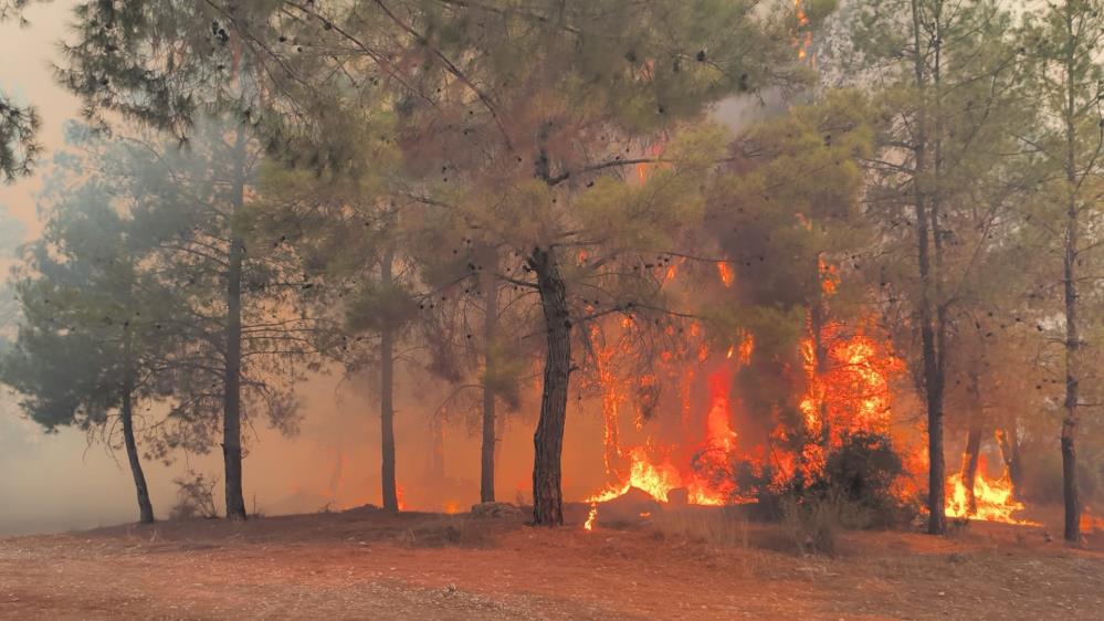 Antalya'daki Yangın Bölgelerinde Elektrik Kesintileri Uygulanıyor