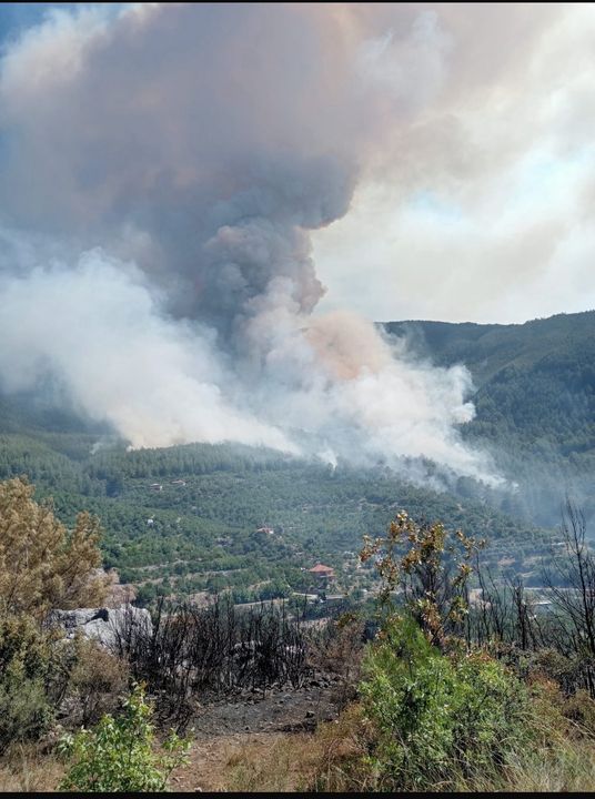 Bakan Yumaklı Antalya Gazipaşa Yangını Soğutuluyor 2