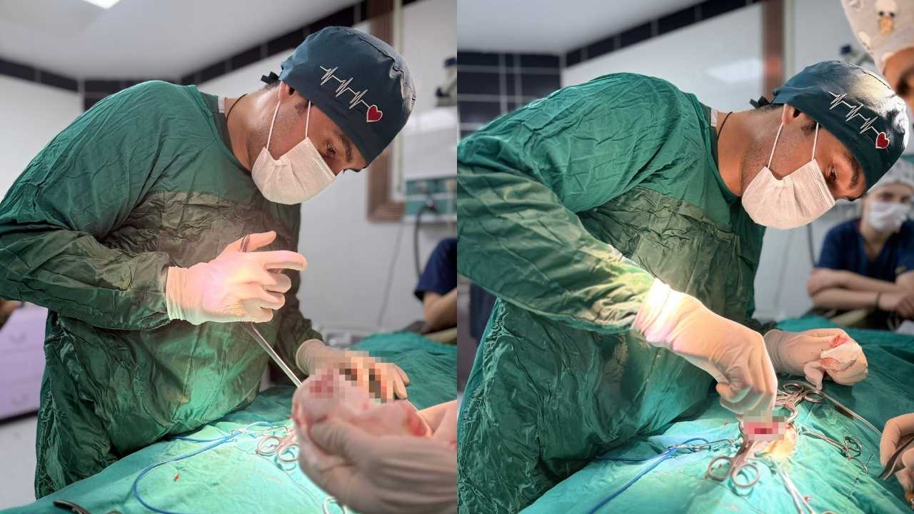 Burdur’da Sokak Kedisine Yapılan Saldırı Vicdanları Yaraladı 2