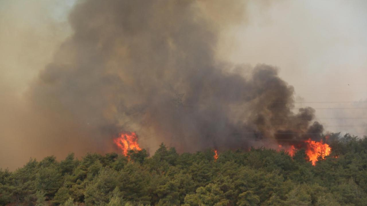 ÇMO Antalya'dan Orman Yangınları İçin Krtik Uyarı!