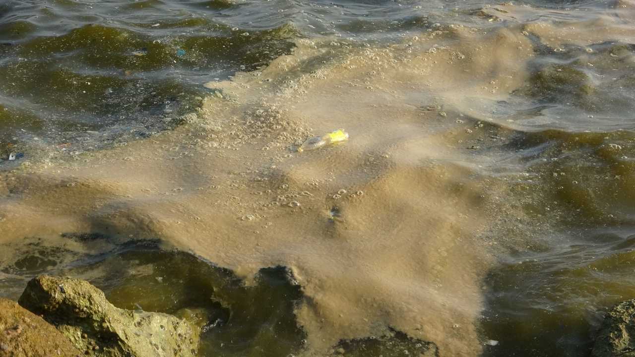 Doğu Akdeniz’in İncisi Mersin Körfezi Tehlikede 2