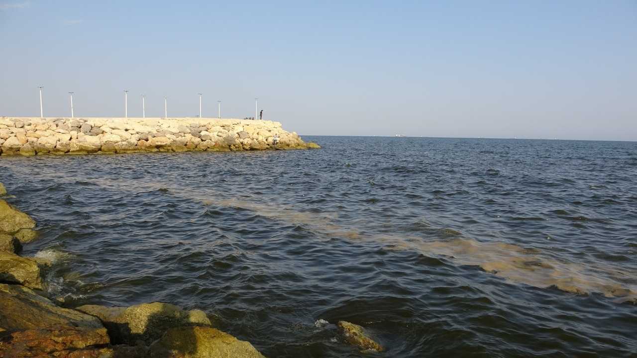 Doğu Akdeniz’in İncisi Mersin Körfezi Tehlikede 3