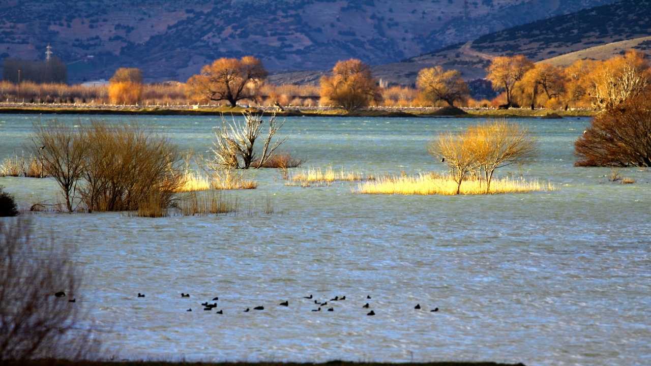 Elmalı’daki Avlan Gölü’nü Kurtaracak Proje Yolda! İhale Bekleniyor 3