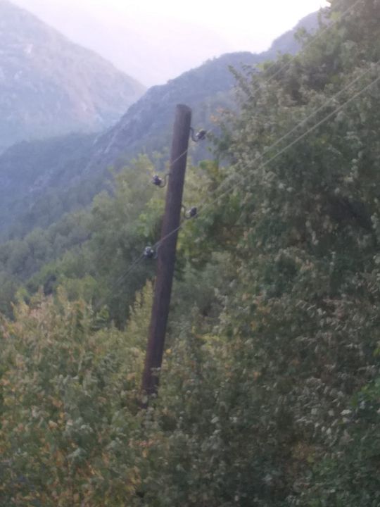 Gazipaşa Kırsalında Orman Yangını Endişesi! Eski Elektrik Hatları Yenilenmeyi Bekliyor 3