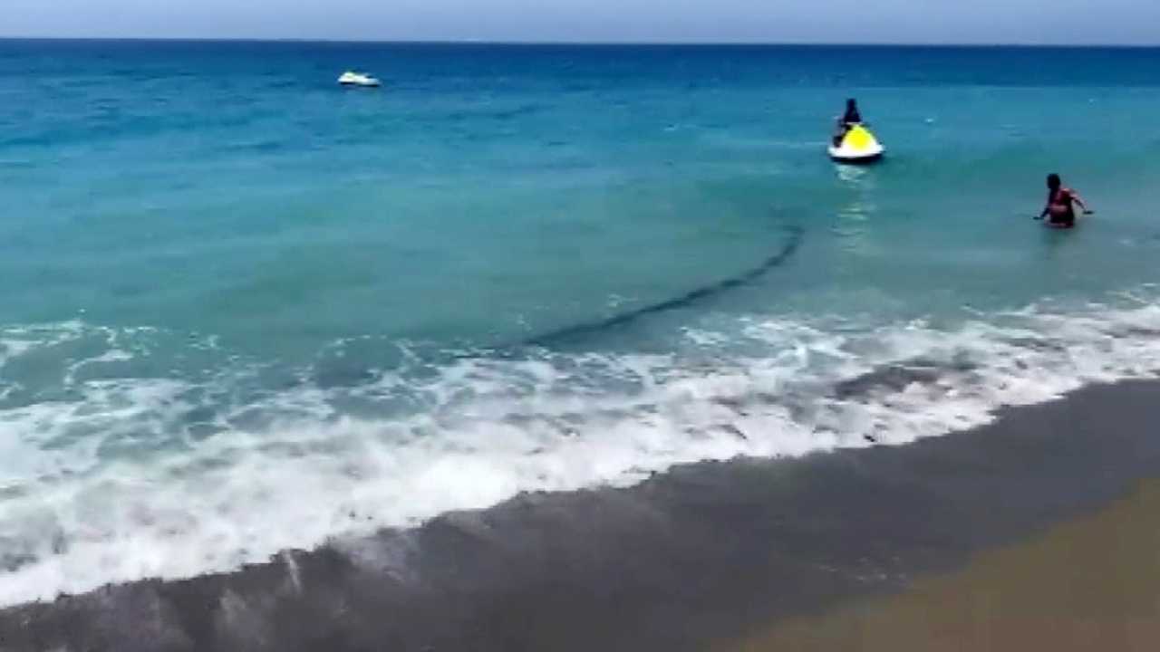 Gazipaşa Selinus Sahili’ndeki Kirlilik Skandalında Gelişme! 500 Metrelik Boru Kıyıya Vurdu 4