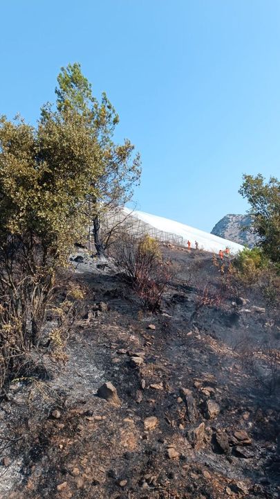 Gazipaşa Ve Alanya'da Da Orman Yangını Çıktı 2