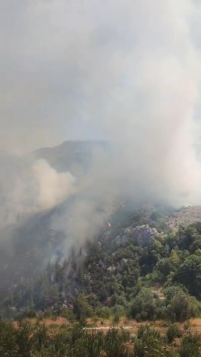 Gazipaşa Ve Alanya'da Da Orman Yangını Çıktı 3