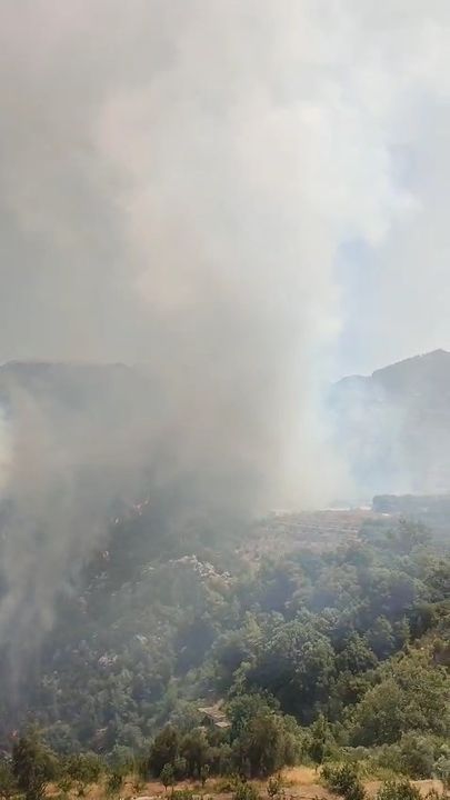 Gazipaşa Ve Alanya'da Da Orman Yangını Çıktı 4