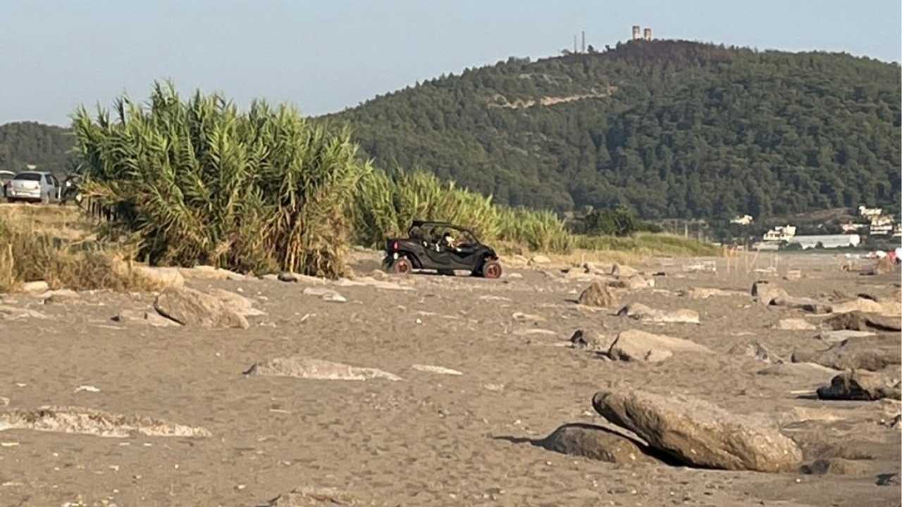 Gazipaşa'daki Caretta Carettalar Tehlike Altında (3)