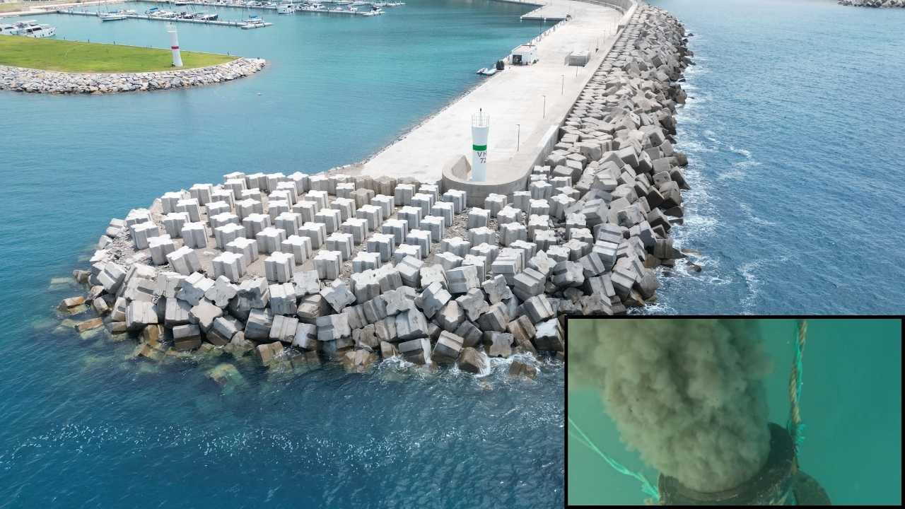 Gazipaşa’daki Deniz Kirliliğinde Marina Yetkilisine Soruşturma 3