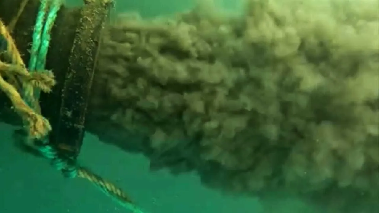 Antalya Kiyilarinda Kirlilik Tehdidi2