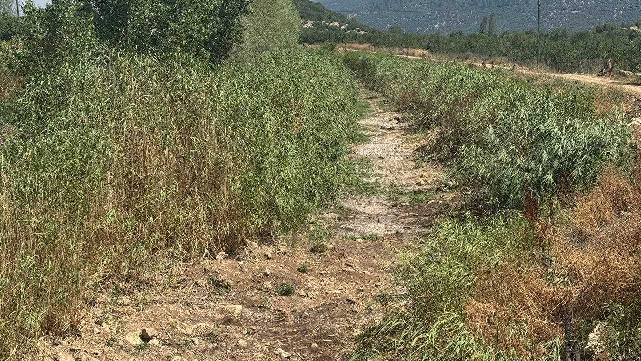 Isparta Eğirdir’de Sulama Suyu Krizi Çiftçiyi Bezdirdi4