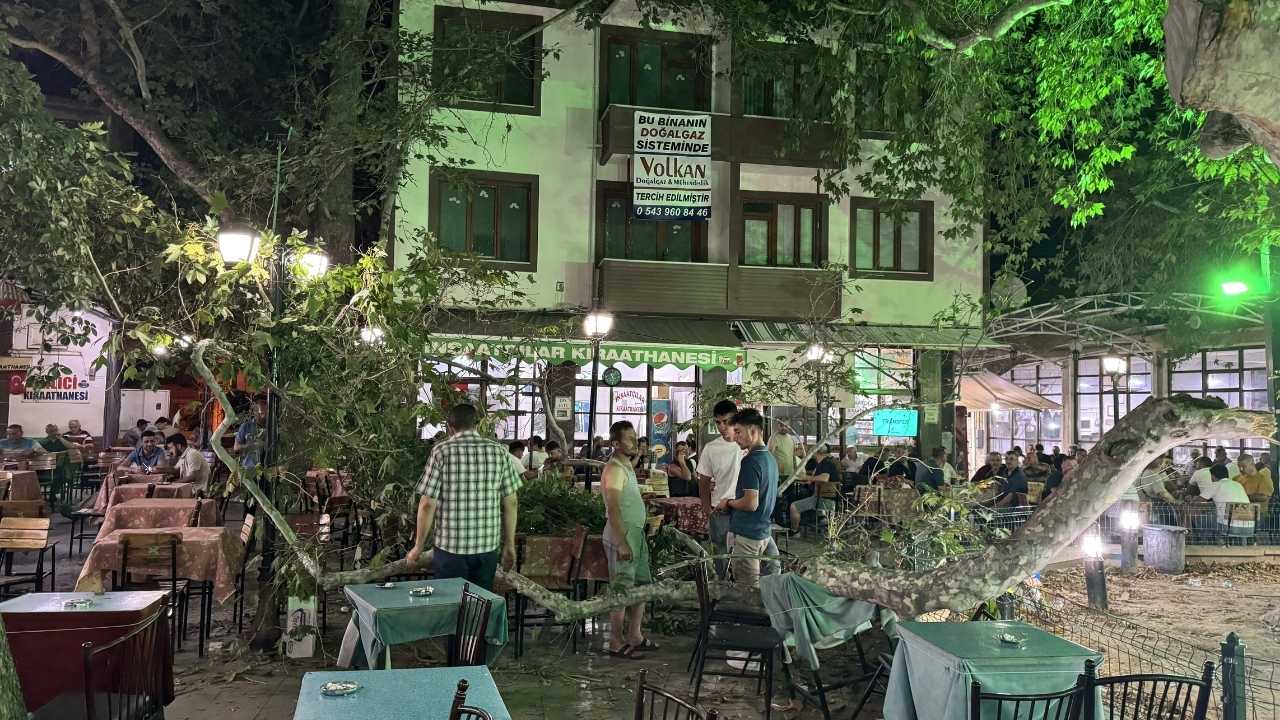 Isparta Yalvaç'ta 798 Yıllık Anıt Çınarın Dalı Koptu! Meydandaki 1 Kişi Yaralandı 2