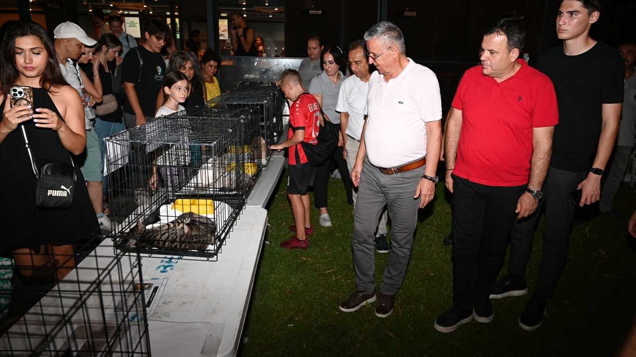 Kemer’de Notalar Sokaktaki Can Dostlar İçin Yükseldi 2