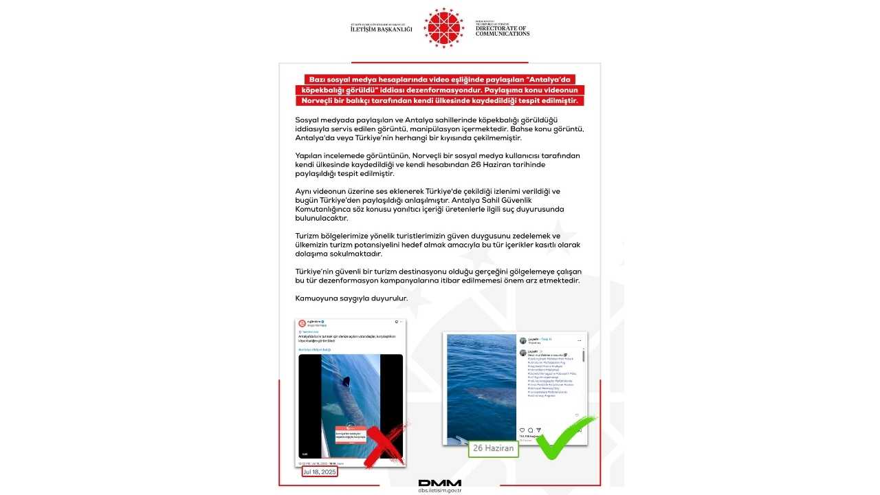 Köpekbalığı Paniği Sahte Çıktı2