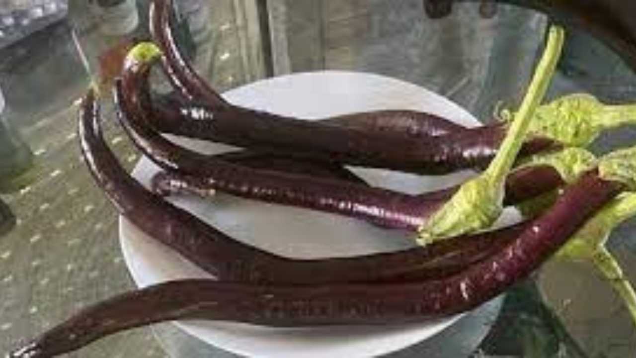 Kumluca'nın Coğrafi İşaret Almaya Aday Ürünleri İnce Patlıcan Yemeği