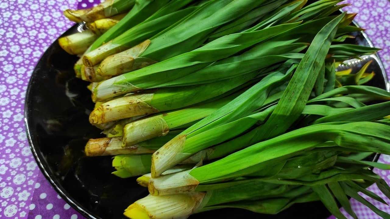 Kumluca'nın Coğrafi İşaret Almaya Aday Ürünleri Kiriş Otu