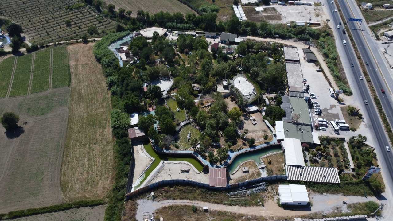 Manavgat’ta Vurulan Aslan Vicdanları Yaraladı 5