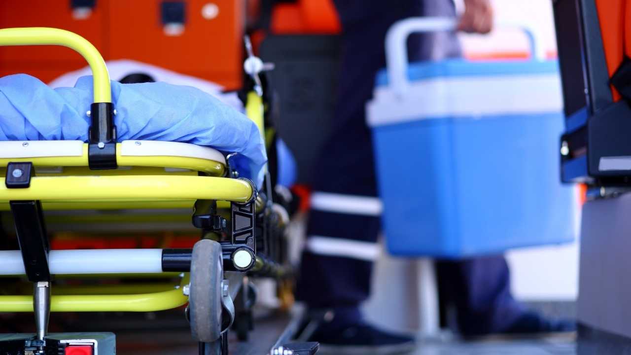 Marjinal Organ Nakli Nedir Yeni Yöntem Akdeniz Üniversitesi’nde Başlıyor 2