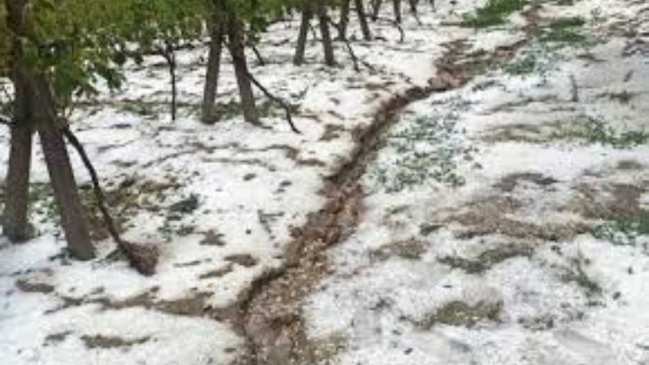 Mersin Yaylalarında Temmuz Ortasında Dolu Şoku (2)