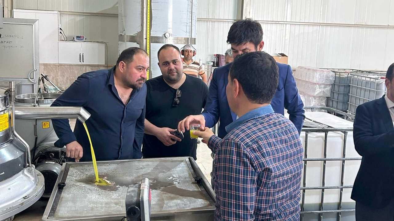 Mersin’de Mut Zeytinyağına Ab'den Coğrafi İşaret Tescili3