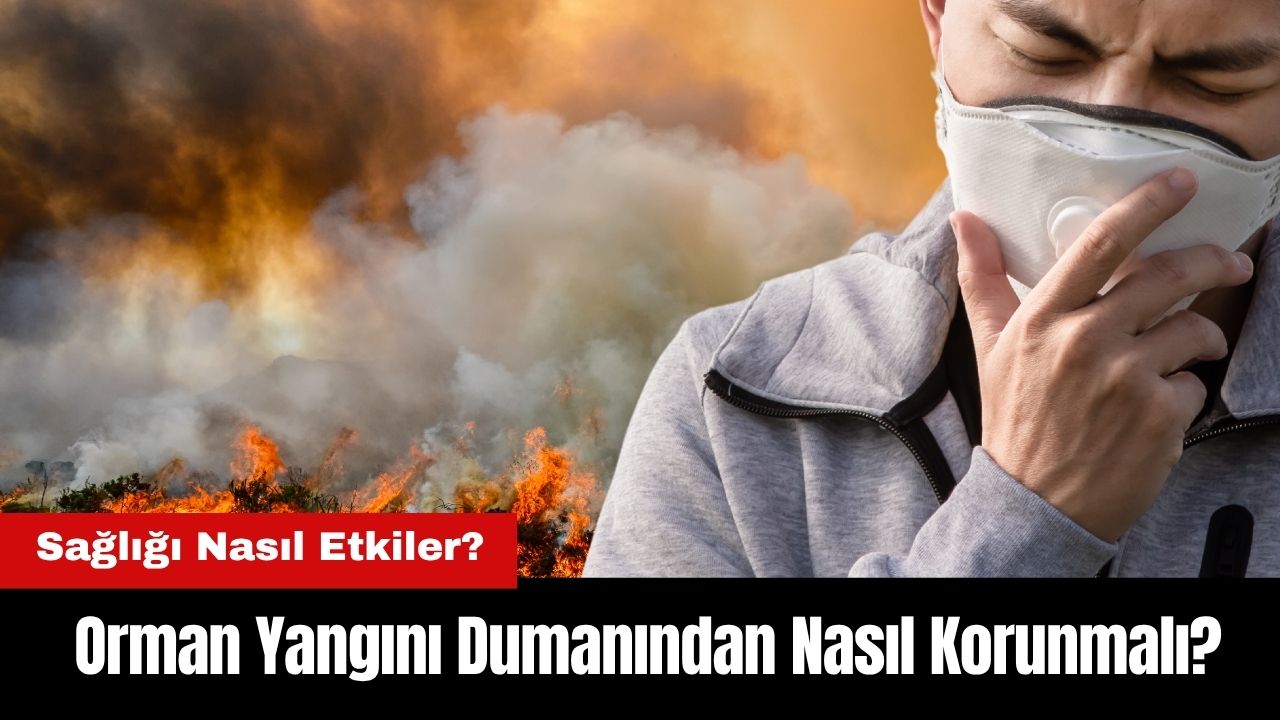 Orman Yangını Dumanından Nasıl Korunmalı 2