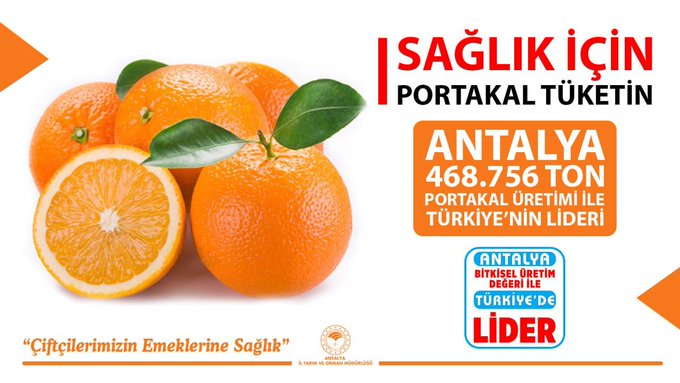 Portakal Üretiminde Rekor Antalya’dan Geldi12