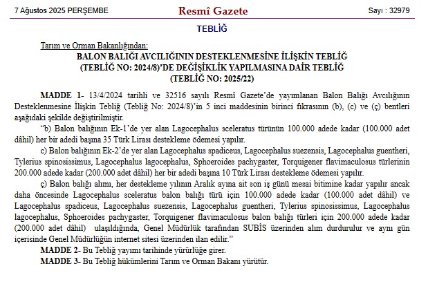 Antalya'da son 5 yılda 88 bin balon balığı avlanırken, avlayan balıkçılara verilen destek tutarı 35 TL’ye yükseltildi.