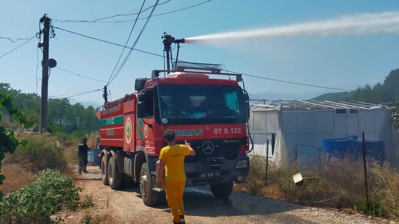 antalya-kumlucada-yangin-zeytin-bahcesi-kul-oldu-3.jpg