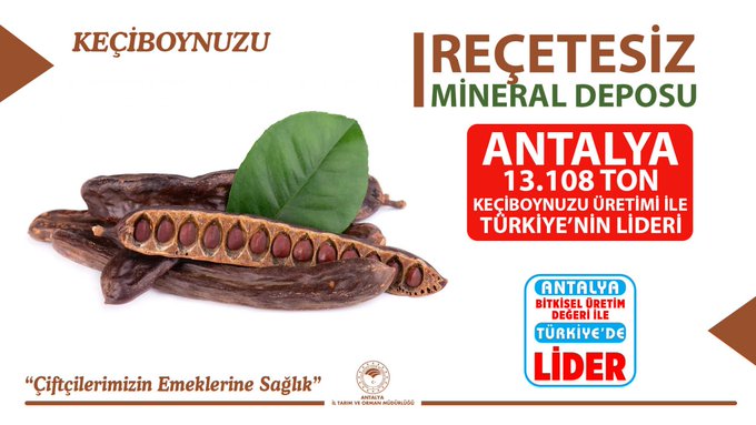 keciboynuzu-uretiminde-birinci-13-108-tonluk-reewe.jpg