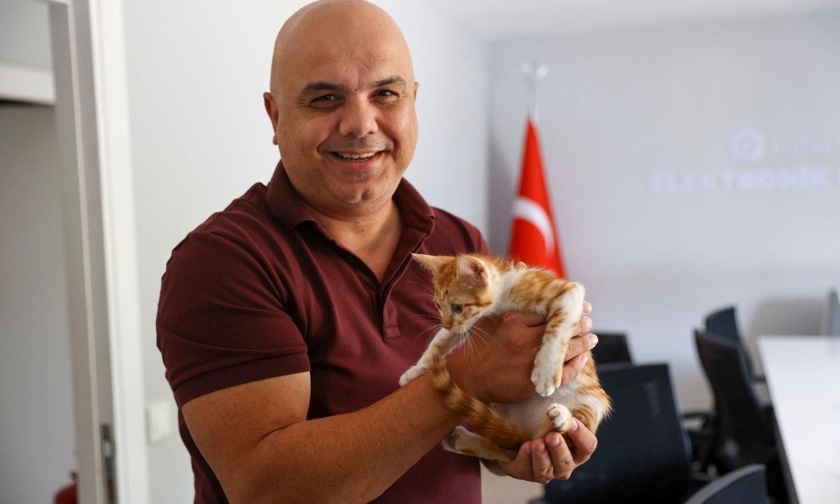 antalyada-kurtarilan-kedinin-adi-bogac-oldu-1.jpg