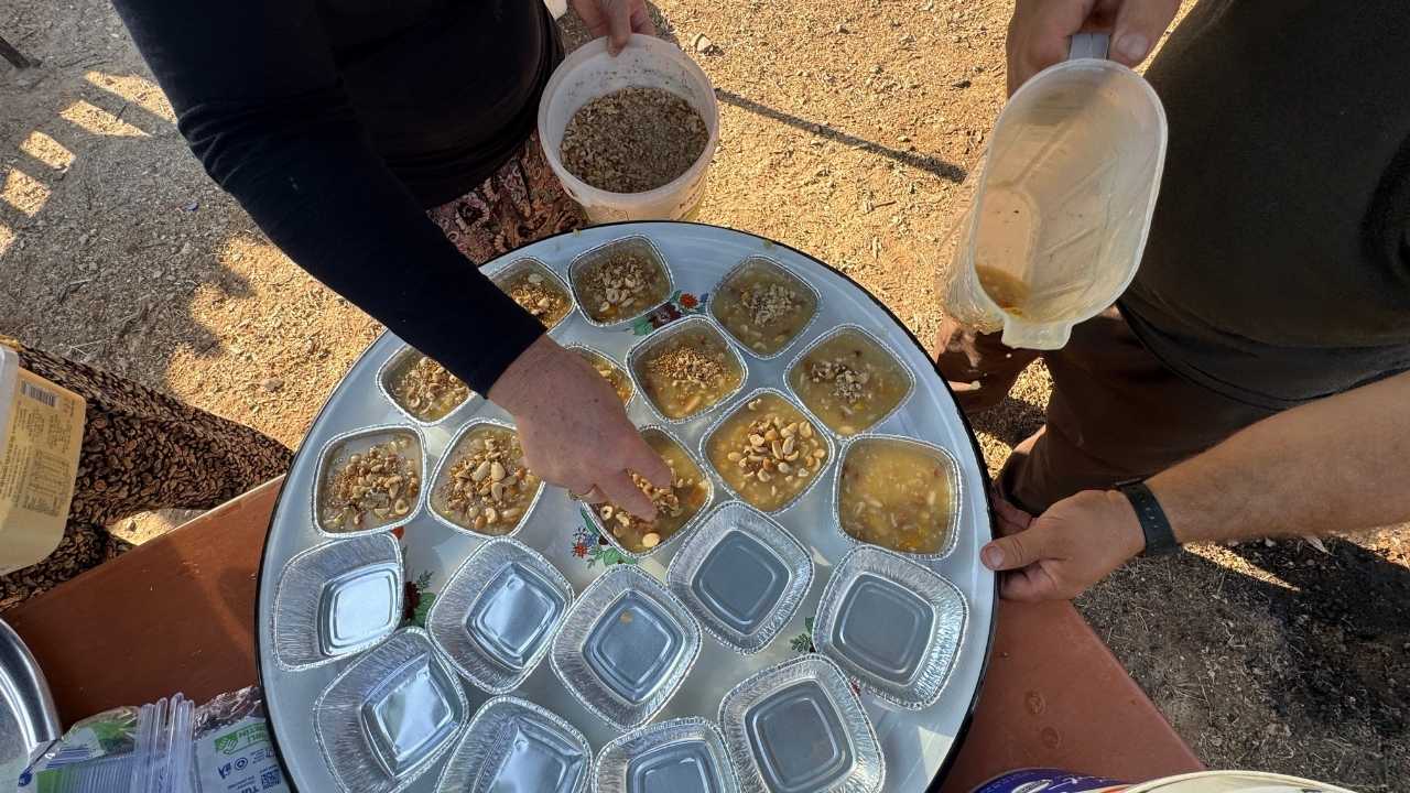 aksekinin-dugmeli-evlerinde-bin-kisilik-asure-dayanismasi3.jpg