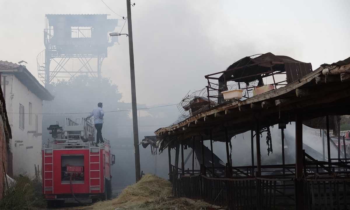 burdur-igdeli-koyunde-yangin-3-buzagi-old-4-bin-balya-saman-ev-ve-minibus-yandi-3.jpg