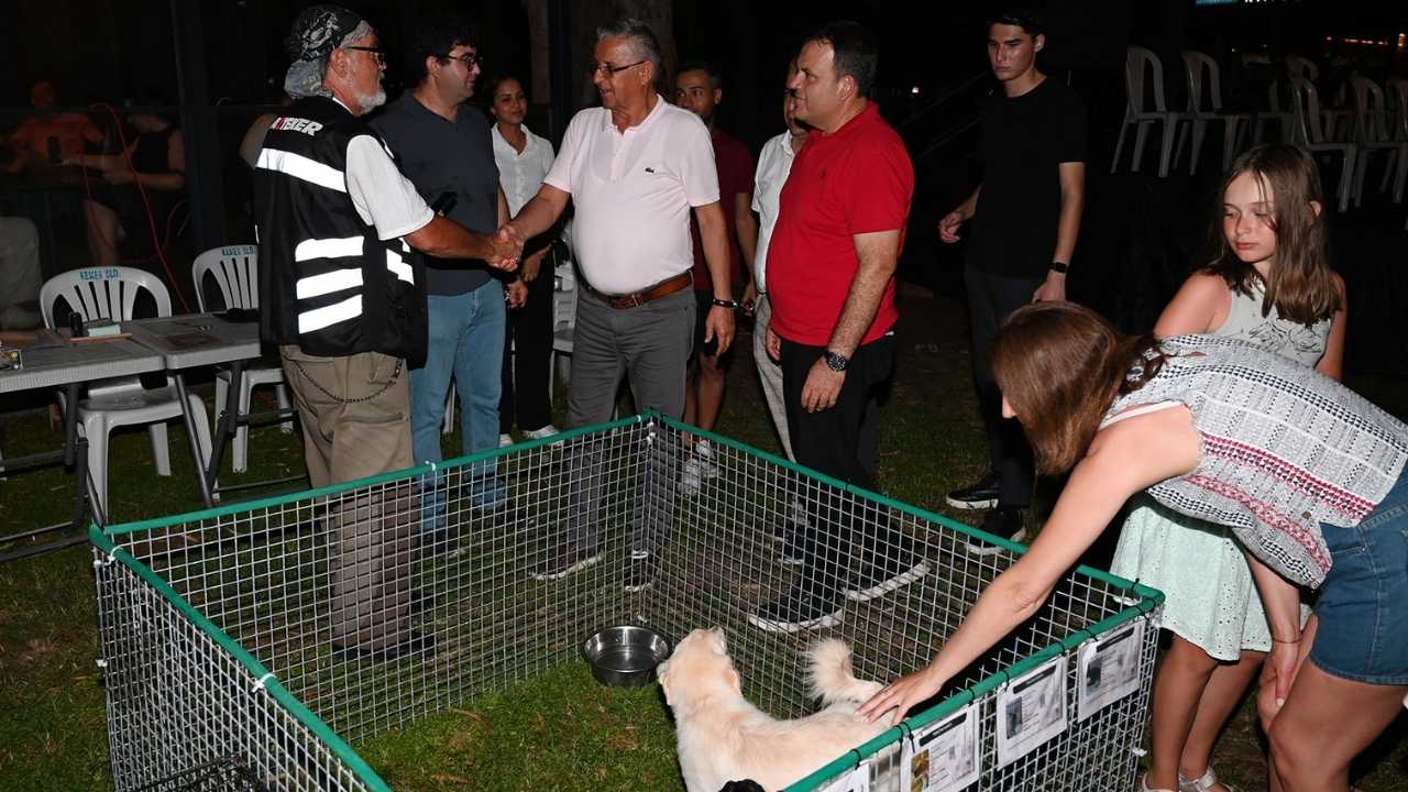 kemerde-sokaktaki-canlar-icin-ikinci-konser-duzenlenecek2-001.jpg