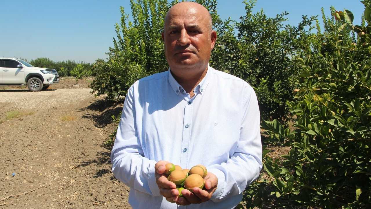 adanada-limonu-kavurucu-sicaklar-yakti2.jpg