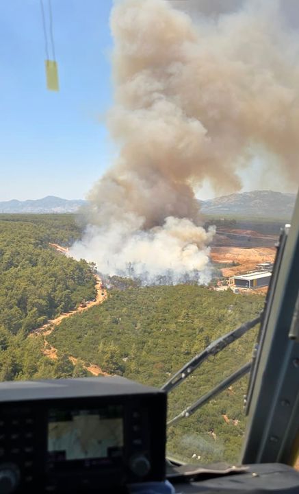 kepez-kizillida-orman-yangini-havadan-ve-karadan-mudahale-basladi-2.jpg