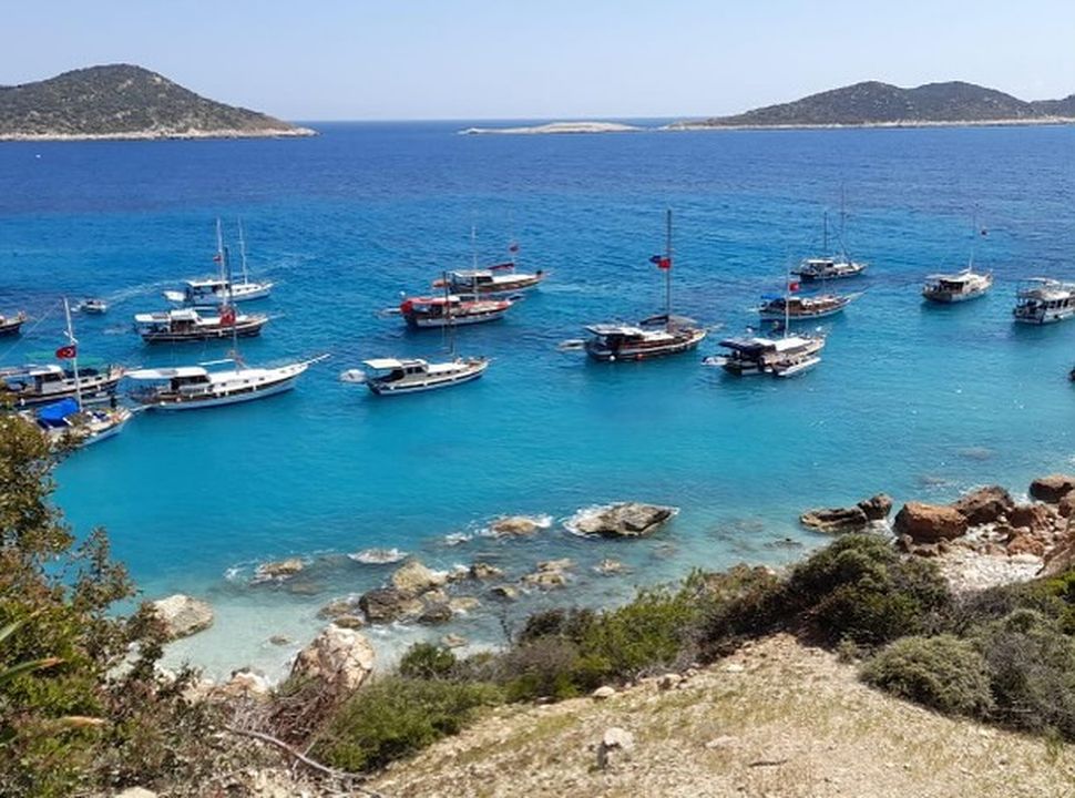 kas-gerenlik-koyu-ihalesine-cagri-orman-parki-yonetmeligi-iptal-edilsin-3.jpg
