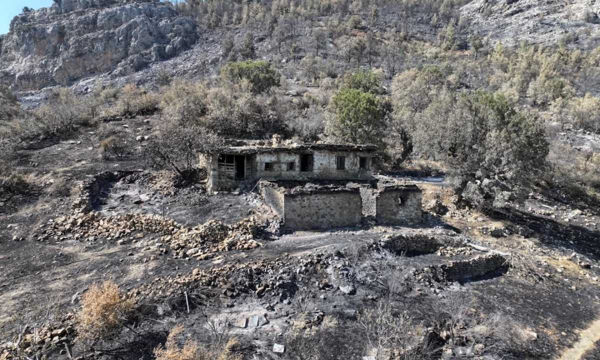 mersinde-orman-yangininin-biraktigi-aci-izler-havadan-goruntulendi2.jpg