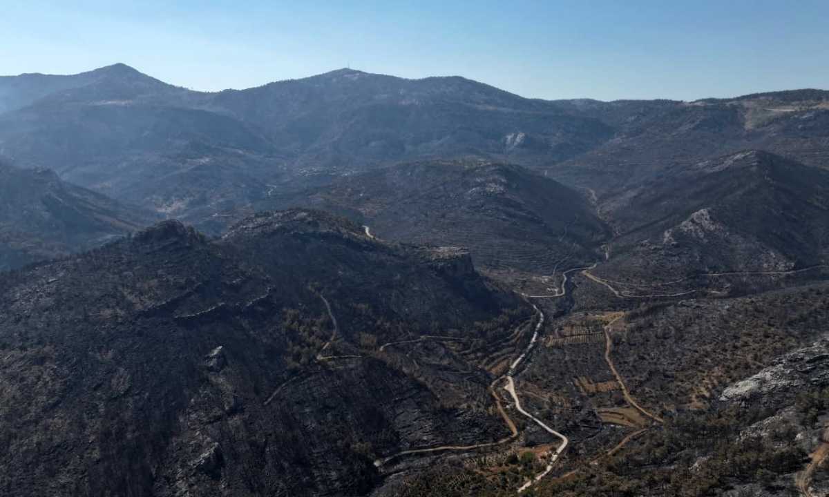 mersinde-orman-yangininin-biraktigi-aci-izler-havadan-goruntulendi3.jpg