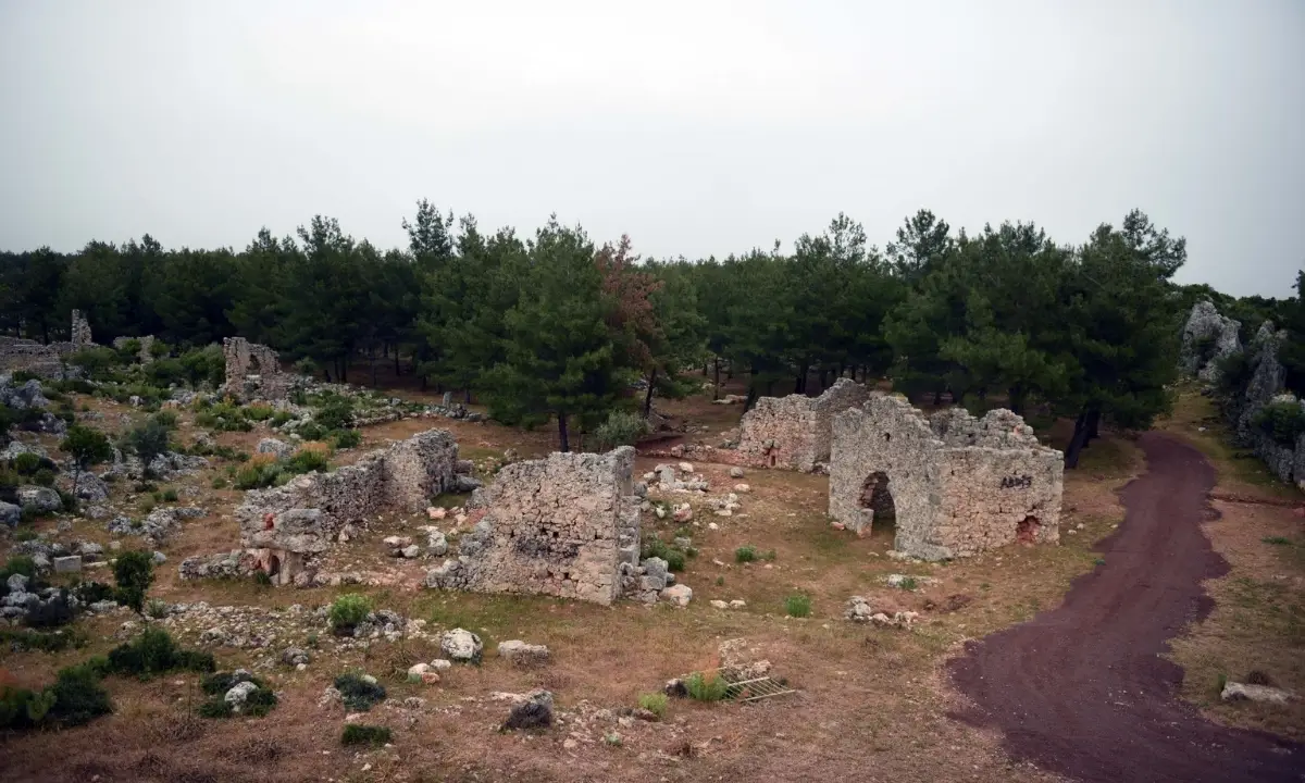 antik-zeytin-uretim-koyu-lyrboton-kome-icin-yeni-karar-2-bin-200-yillik-tarih-ormana-uzandi-2-akdeniz-gercek.webp