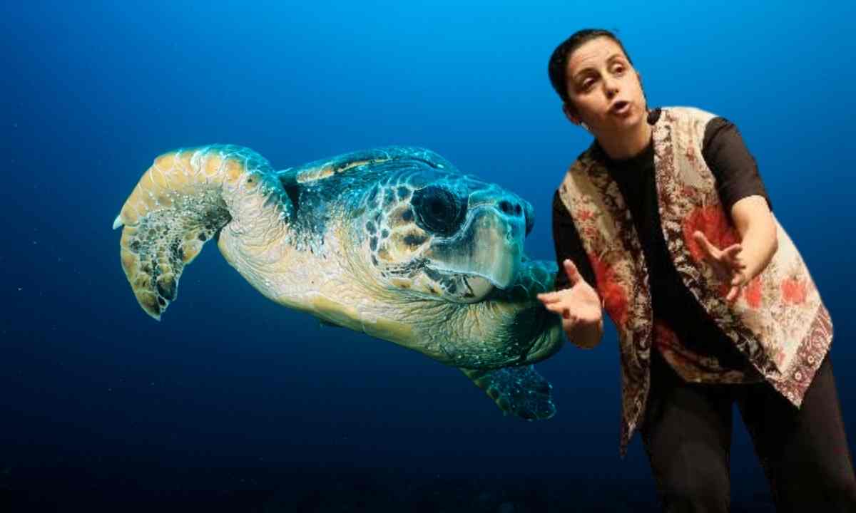stand-up-sanatcisi-antalyada-caretta-carettaya-bakin-ne-verdi12-1.jpg
