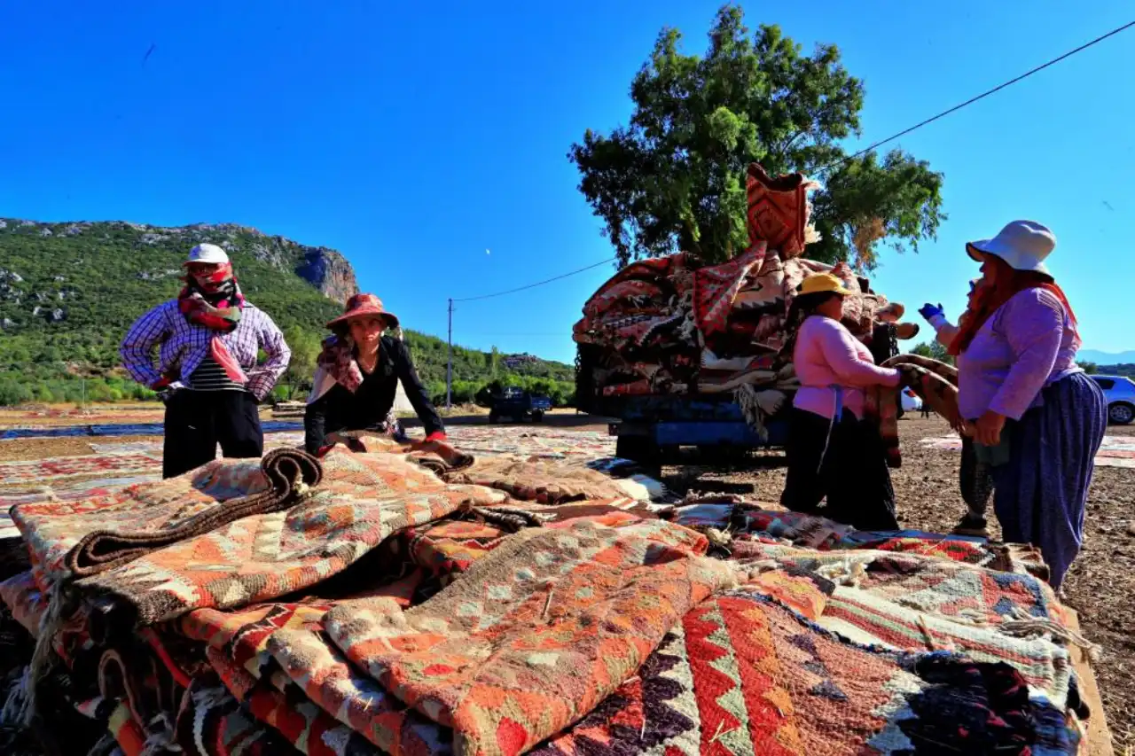 antalyada-tarladaki-milyonluk-halilarin-hasadi-basladi.webp
