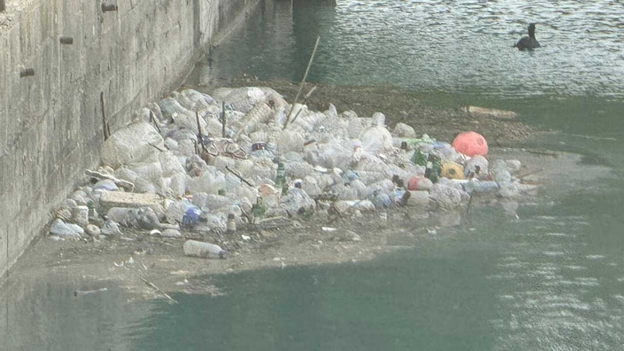Adana’da Seyhan Nehri Yosun Ve Kirlilik İstilasına Uğradı 2