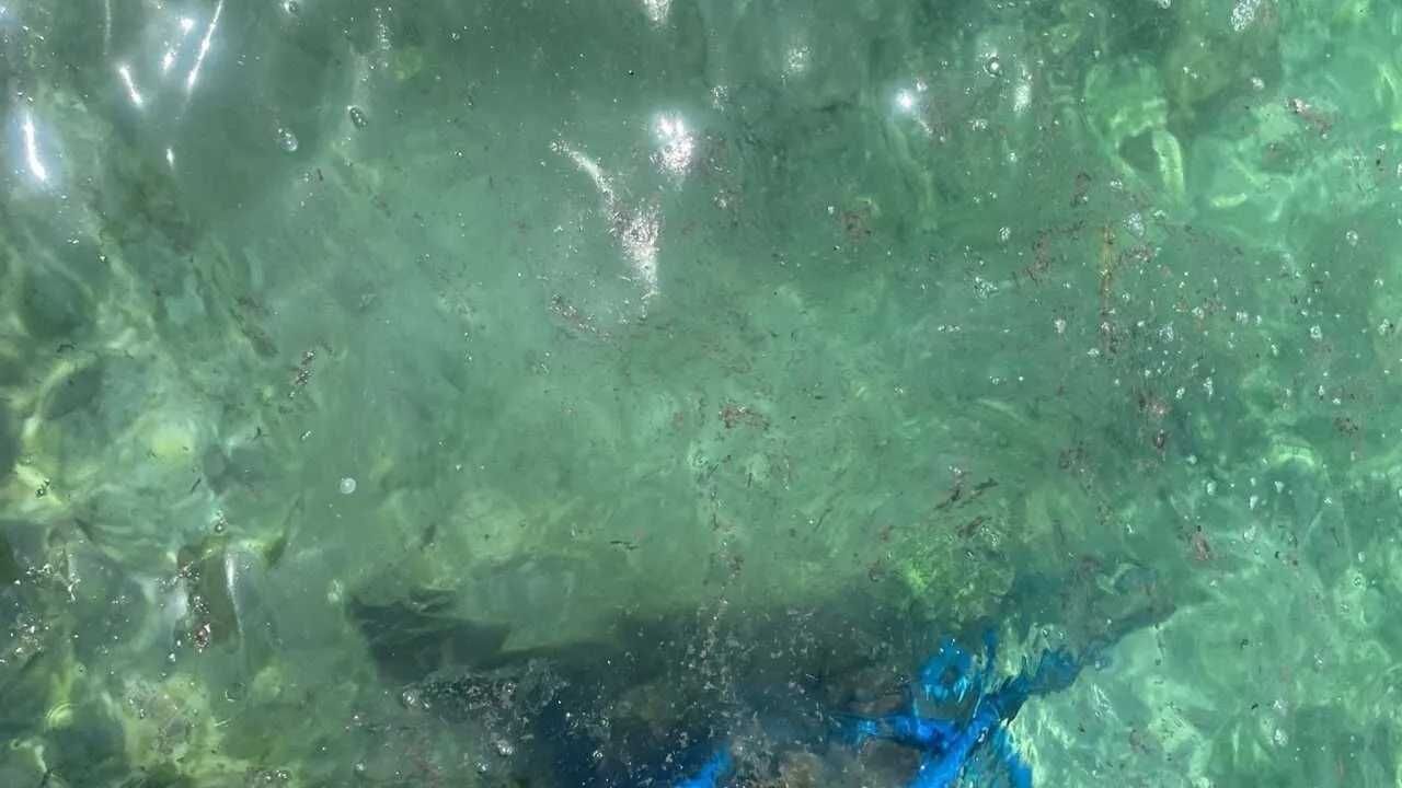 Antalya’daki Turizm Tesislerinin Atık Haritası Çıkarılacak7