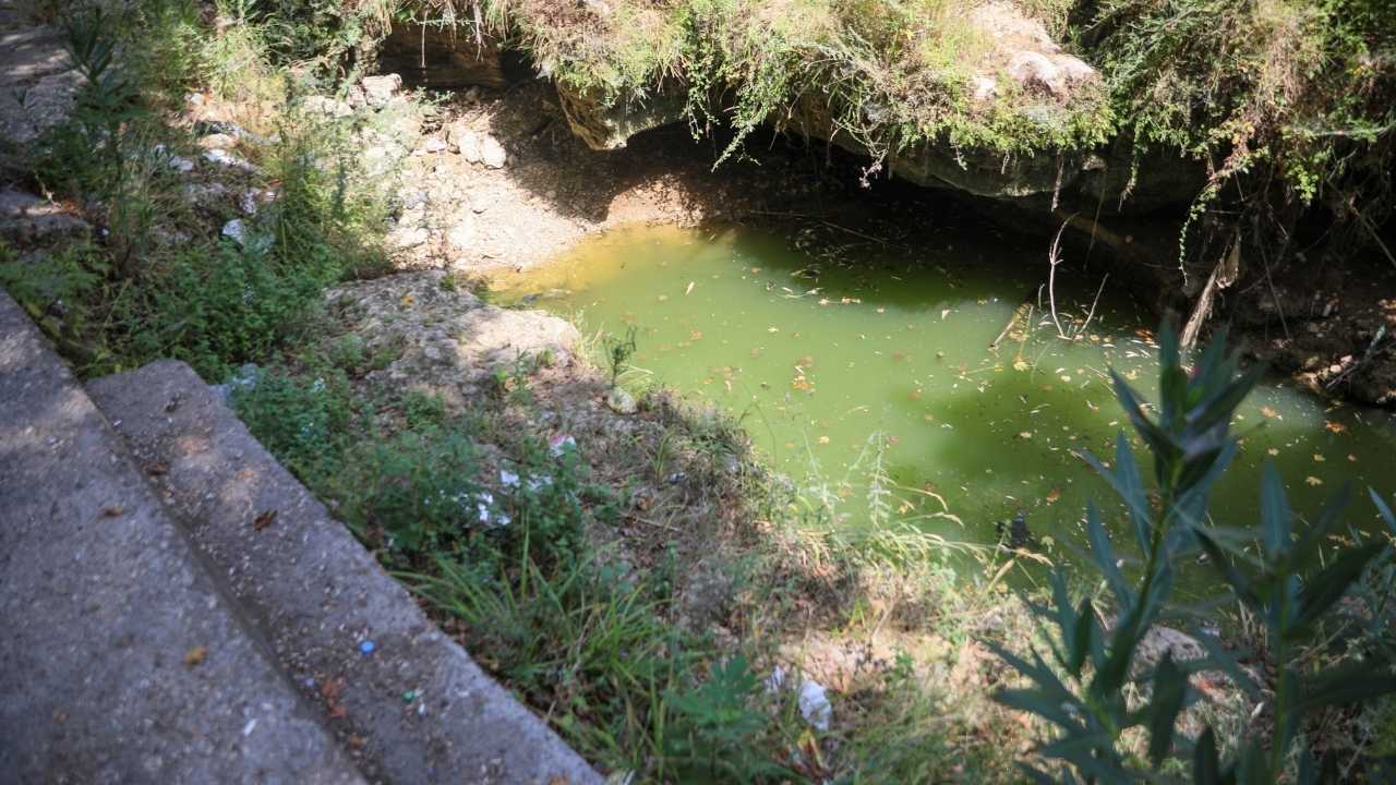 Antalya’nın Gelin Düşen Deresi’nde Endemik Çiçek Balıkları Kirliliğe Kurban Gitti 3