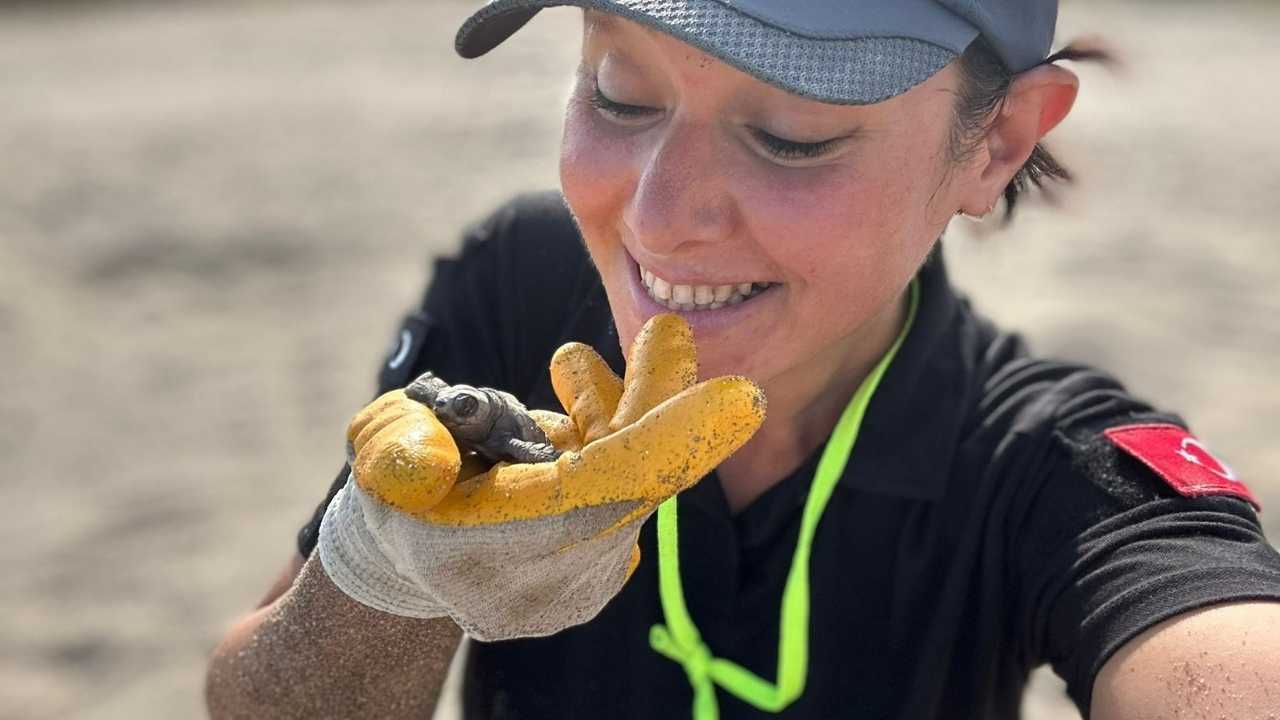 Gazipaşa Sahillerinde Caretta Nöbeti (2)